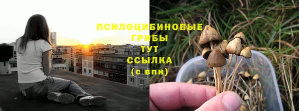 МДПВ Медвежьегорск