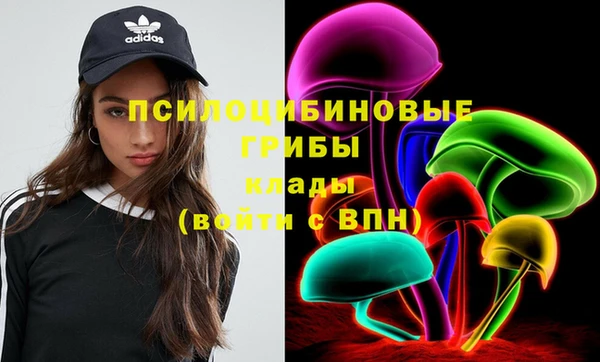 МДПВ Медвежьегорск