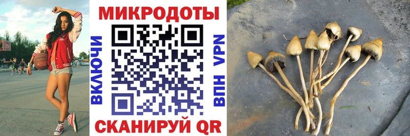 Галлюциногенные грибы мухоморы  ссылка на мегу tor  Каспийск 