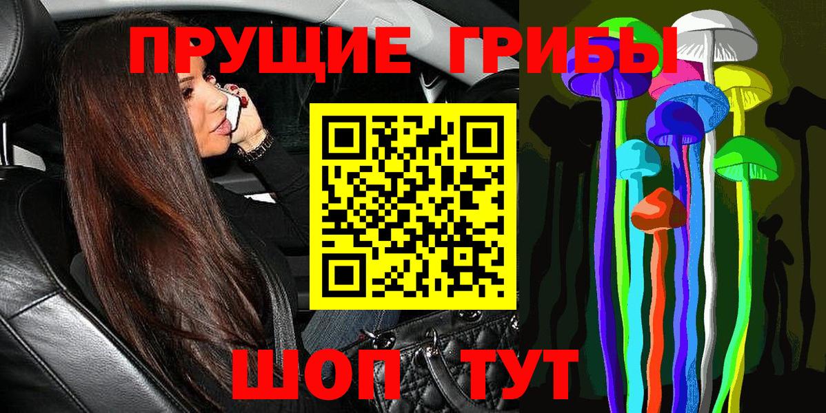 Каспийск  Галлюциногенные грибы Cubensis  Вход с VPN 