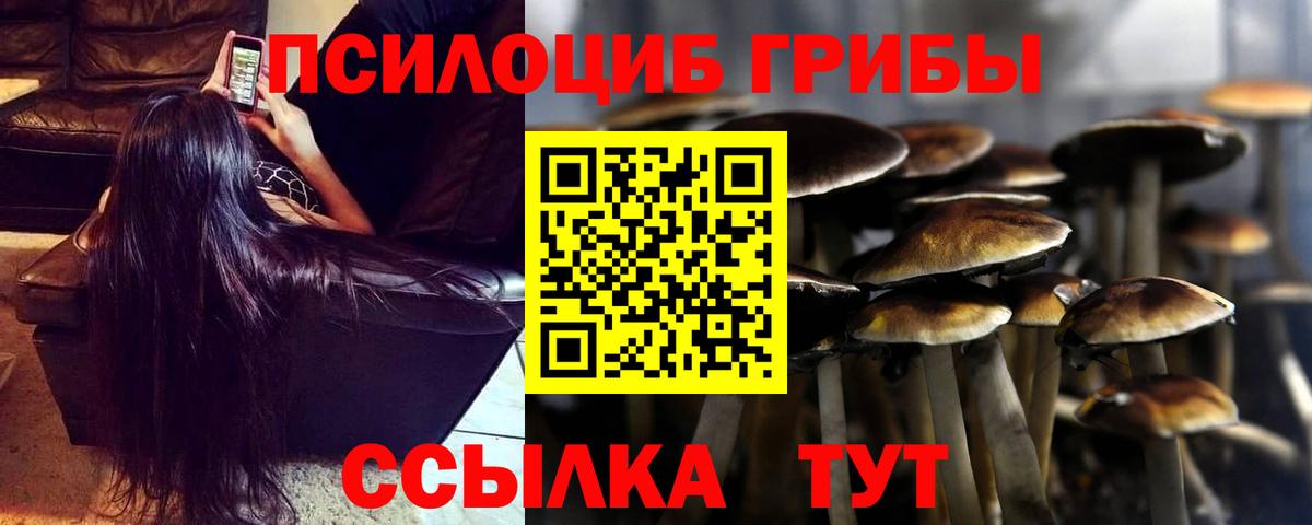 Псилоцибиновые грибы мухоморы  Каспийск  купить наркотики цена  Псилоцибиновые грибы ЛСД 
