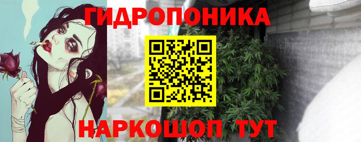 МАРИХУАНА OG Kush  Каспийск  Марихуана Amnesia  МАРИХУАНА семена 